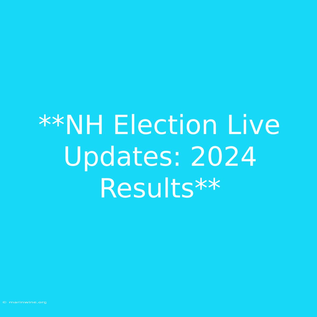 **NH Election Live Updates: 2024 Results**