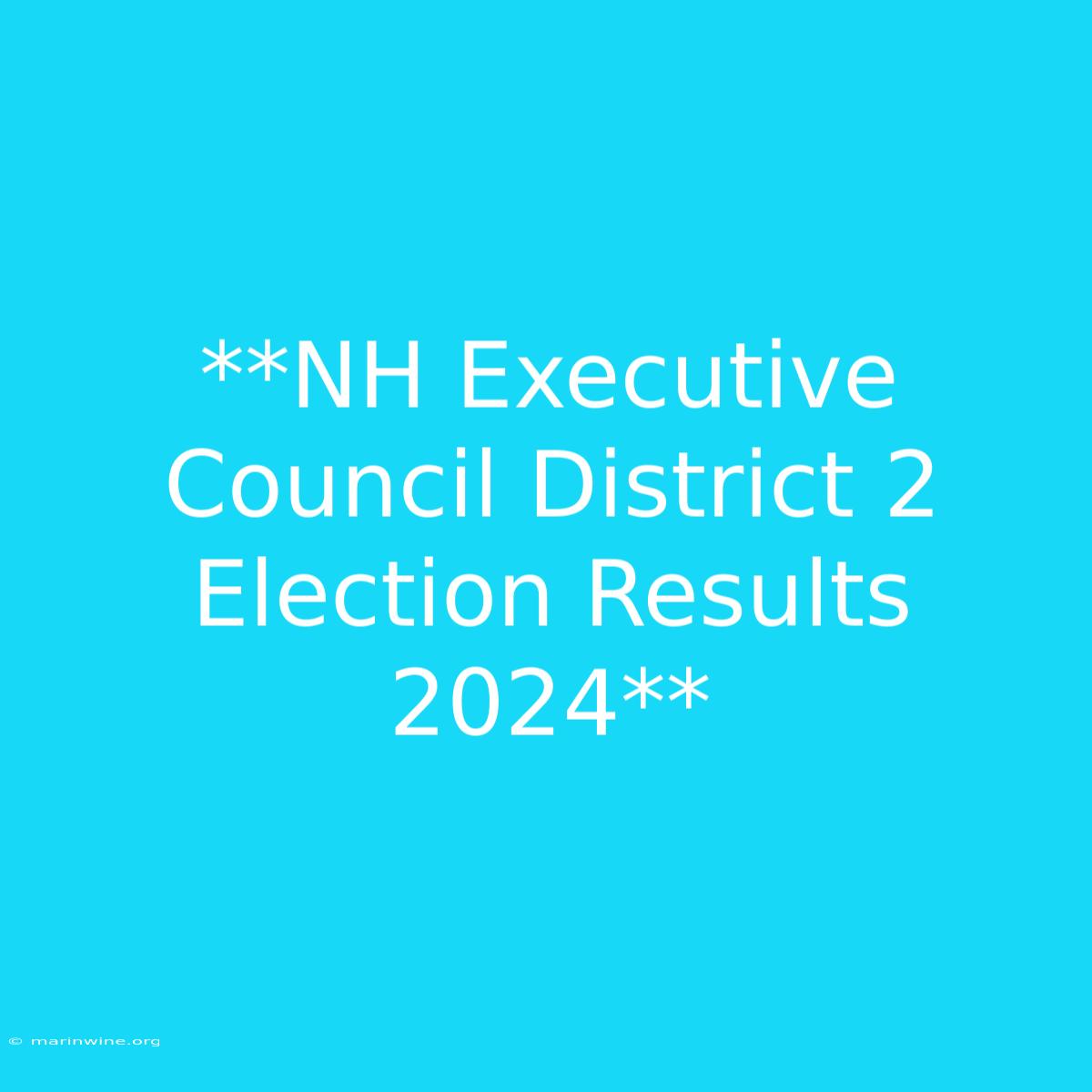 **NH Executive Council District 2 Election Results 2024** 