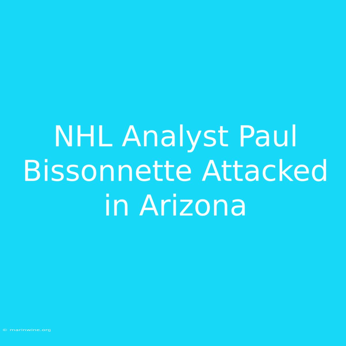 NHL Analyst Paul Bissonnette Attacked In Arizona