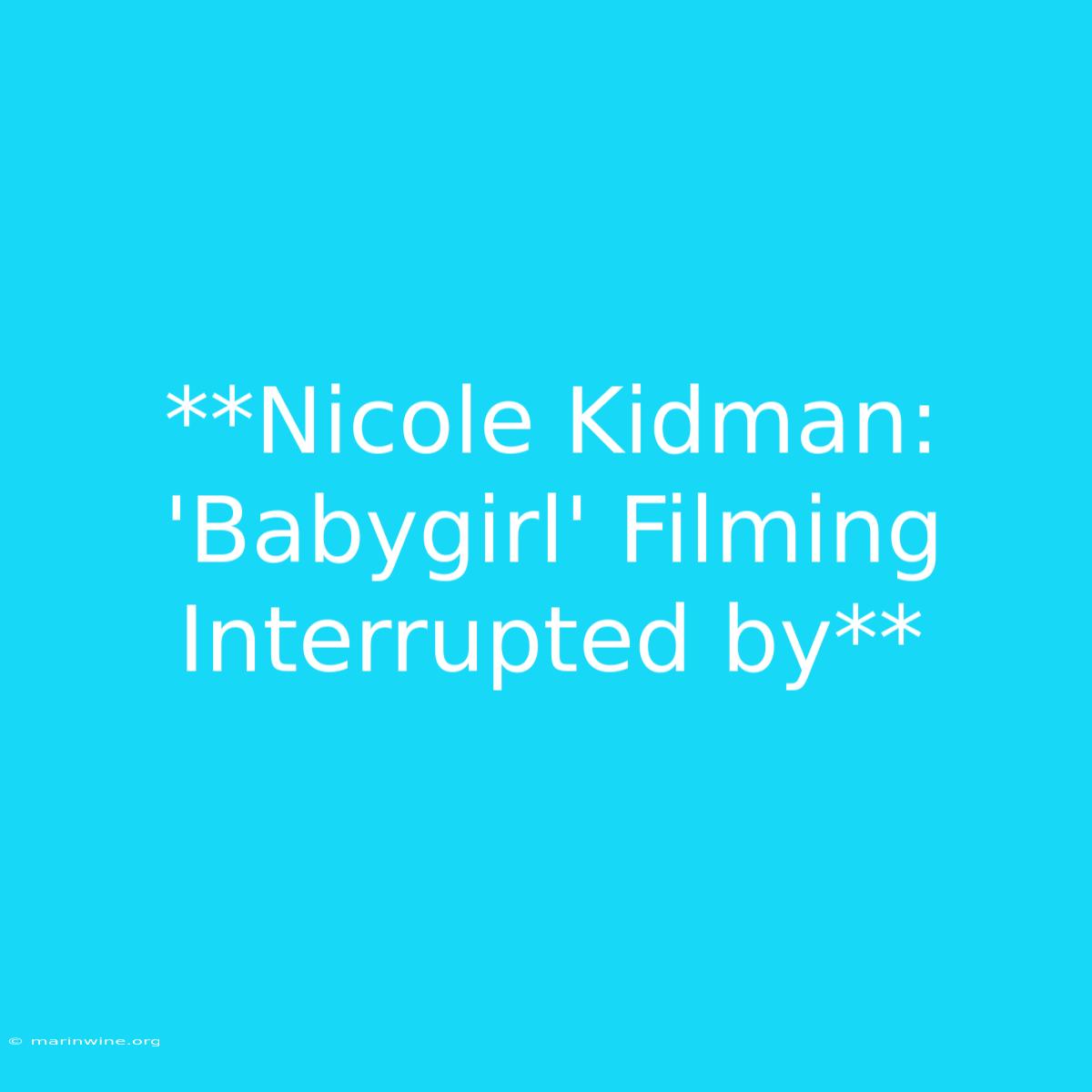 **Nicole Kidman: 'Babygirl' Filming Interrupted By**