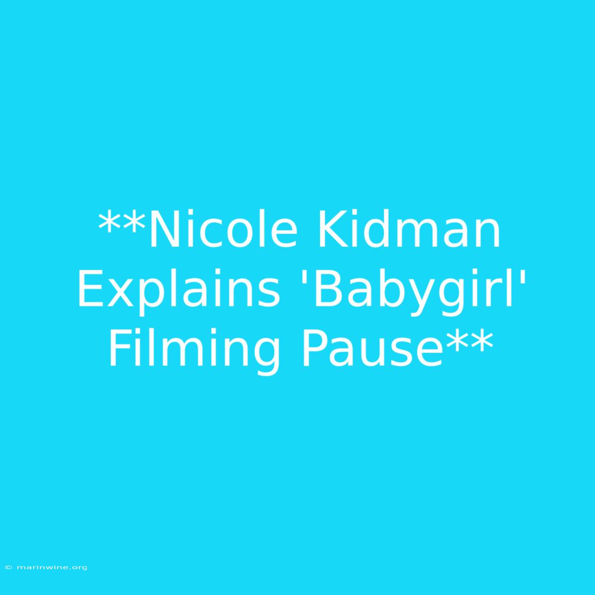 **Nicole Kidman Explains 'Babygirl' Filming Pause** 