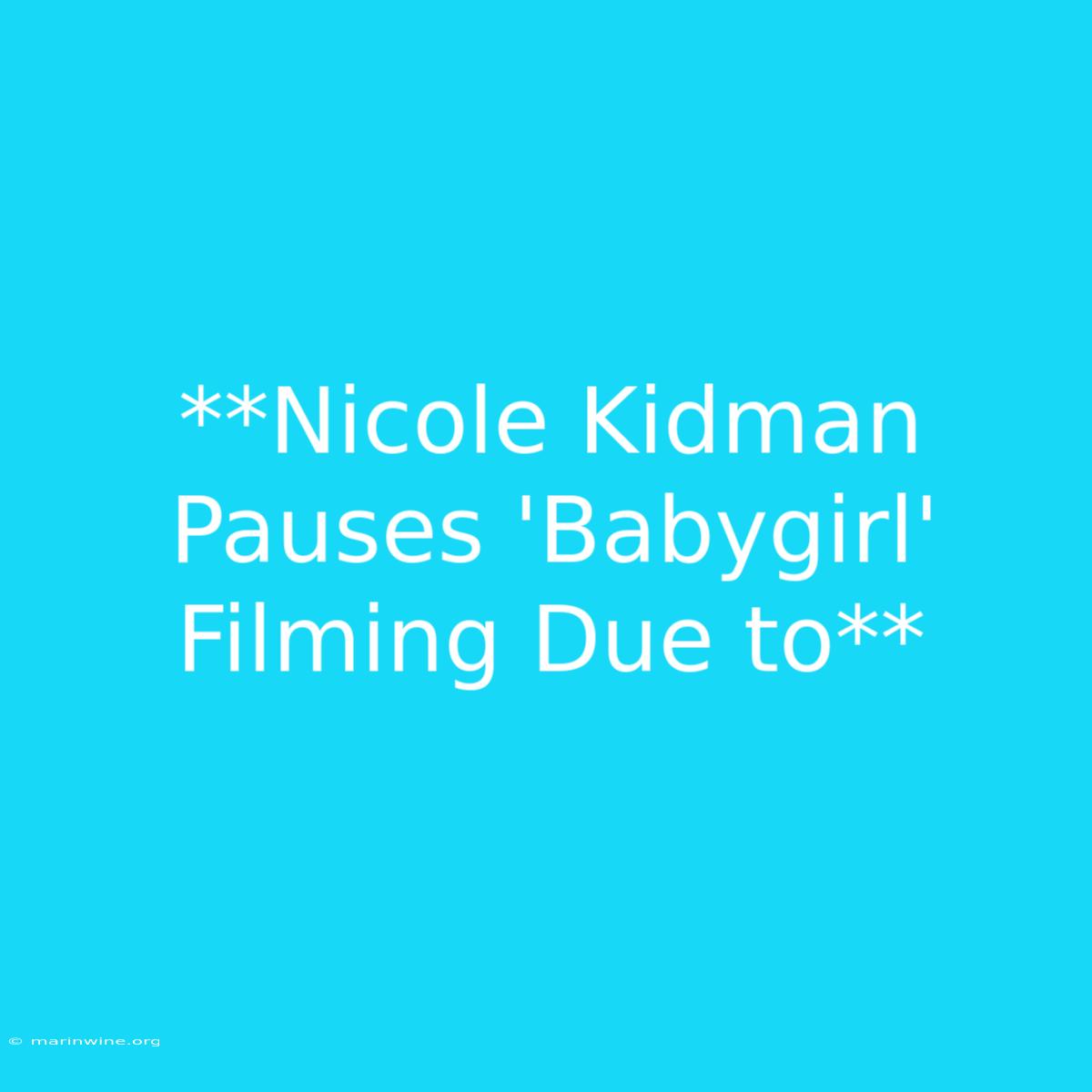 **Nicole Kidman Pauses 'Babygirl' Filming Due To**