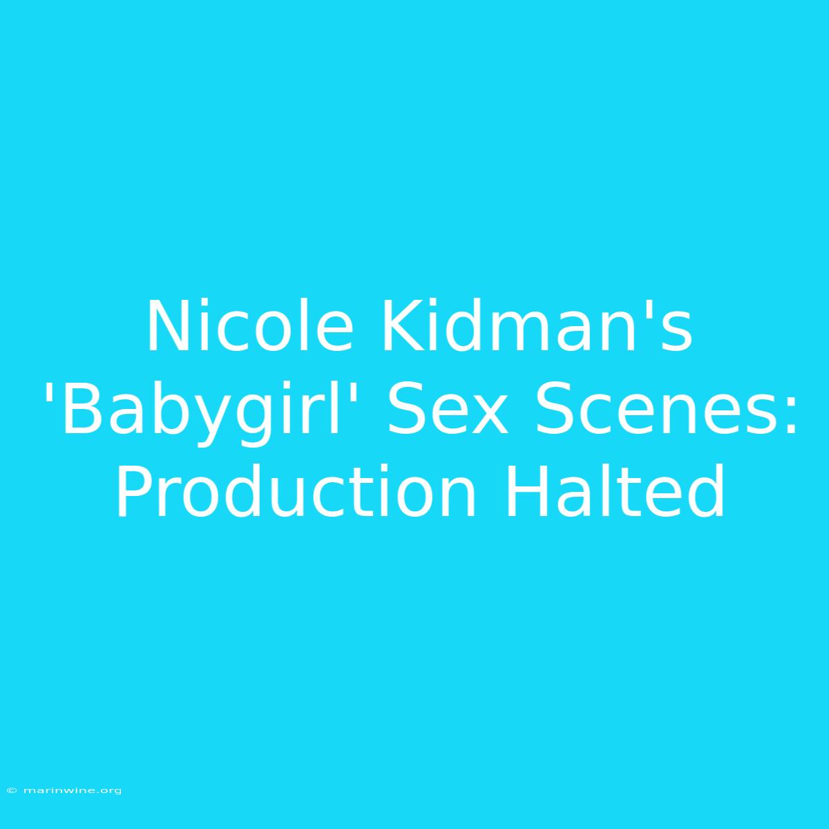 Nicole Kidman's 'Babygirl' Sex Scenes: Production Halted 