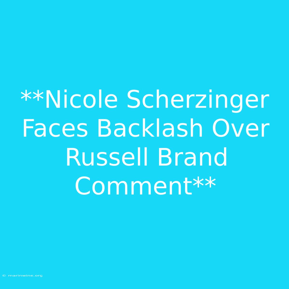 **Nicole Scherzinger Faces Backlash Over Russell Brand Comment**