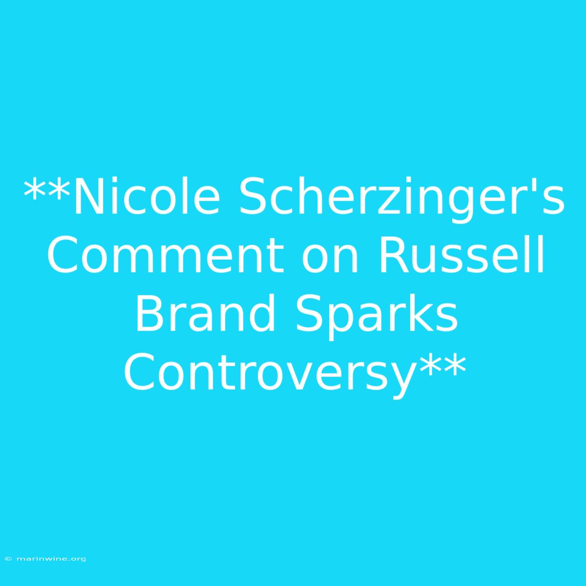 **Nicole Scherzinger's Comment On Russell Brand Sparks Controversy** 