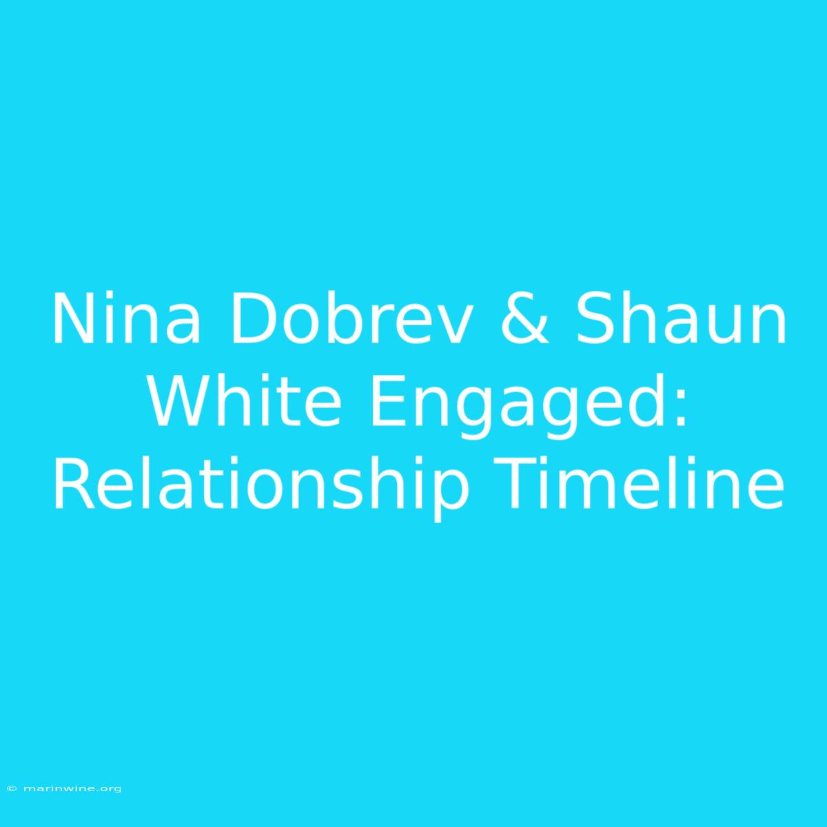 Nina Dobrev & Shaun White Engaged: Relationship Timeline