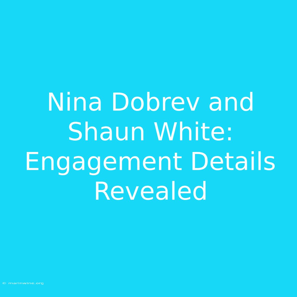 Nina Dobrev And Shaun White: Engagement Details Revealed