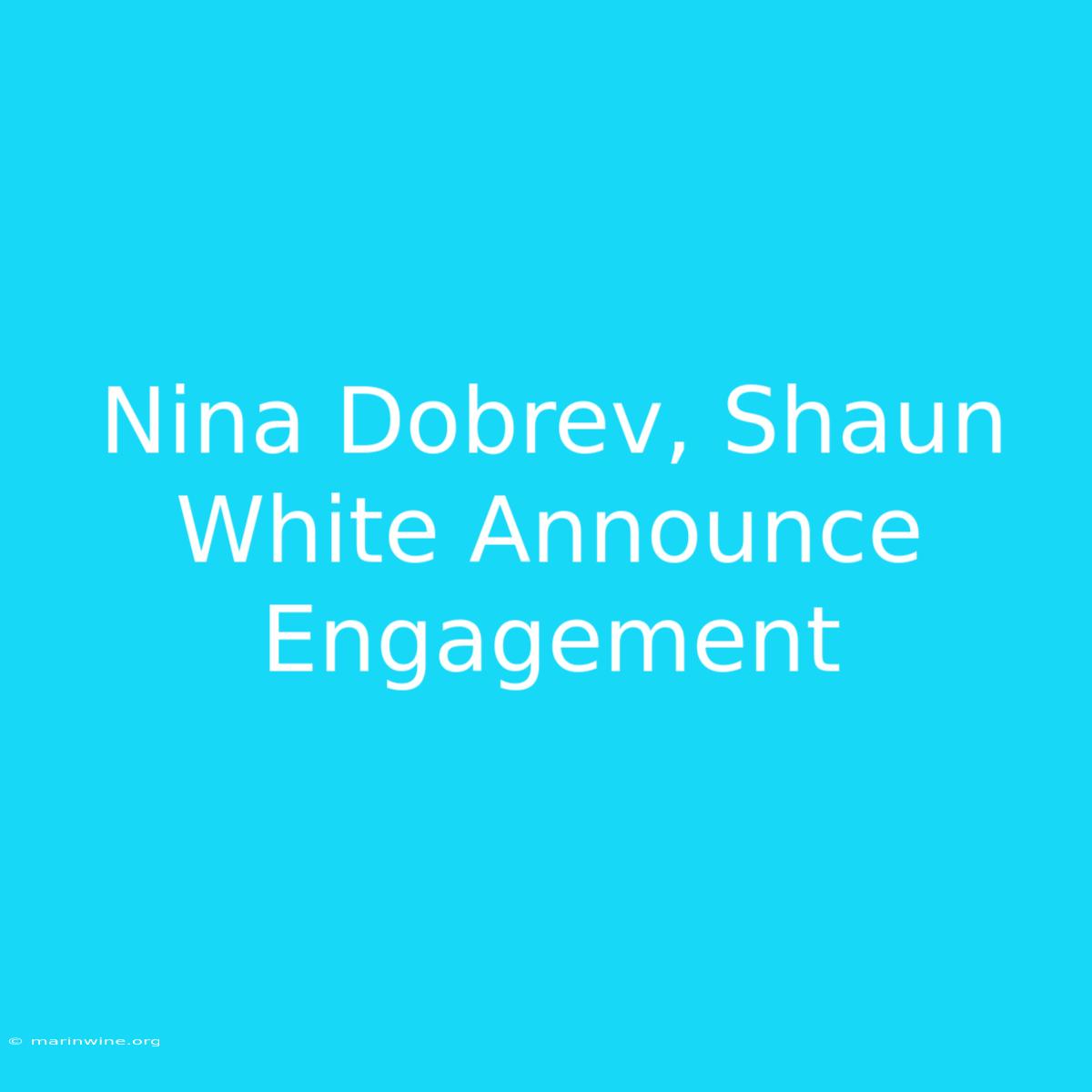 Nina Dobrev, Shaun White Announce Engagement