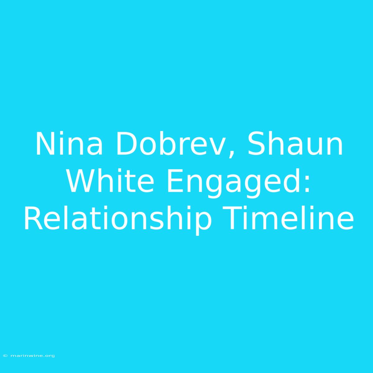 Nina Dobrev, Shaun White Engaged: Relationship Timeline