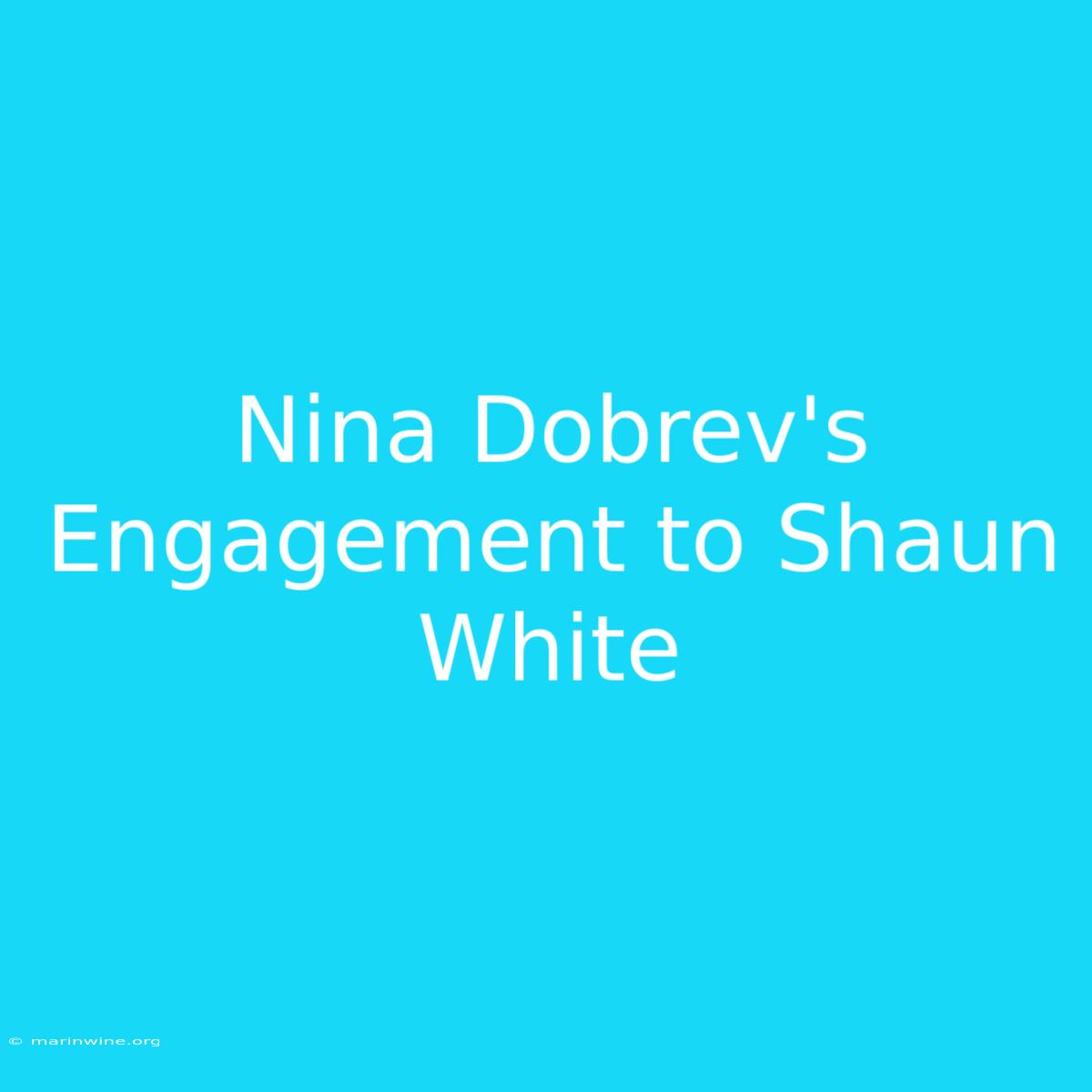 Nina Dobrev's Engagement To Shaun White 