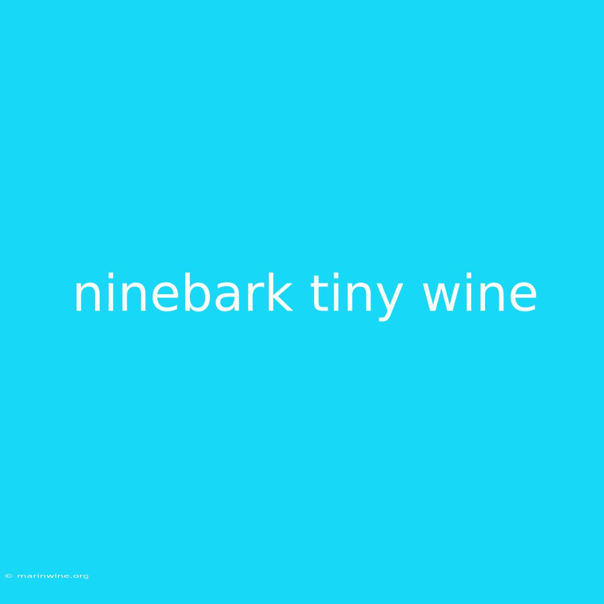 Ninebark Tiny Wine