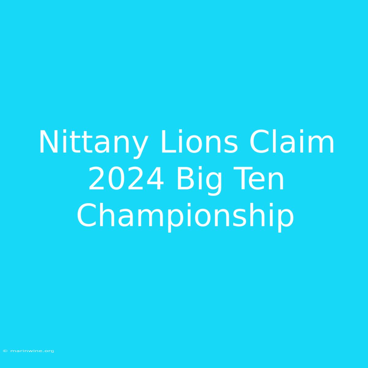 Nittany Lions Claim 2024 Big Ten Championship