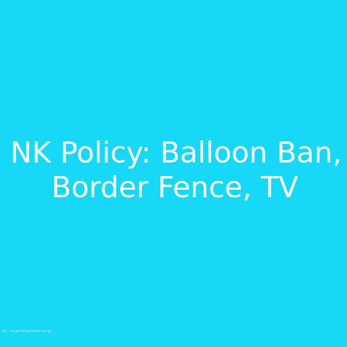 NK Policy: Balloon Ban, Border Fence, TV