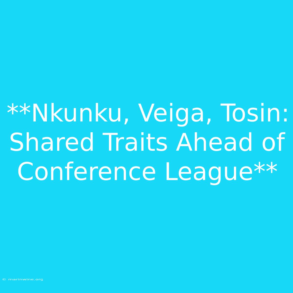 **Nkunku, Veiga, Tosin: Shared Traits Ahead Of Conference League** 