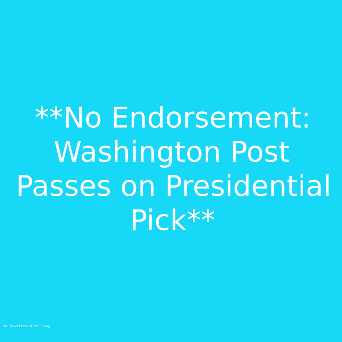 **No Endorsement: Washington Post Passes On Presidential Pick**