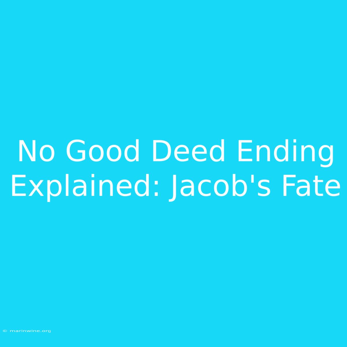 No Good Deed Ending Explained: Jacob's Fate