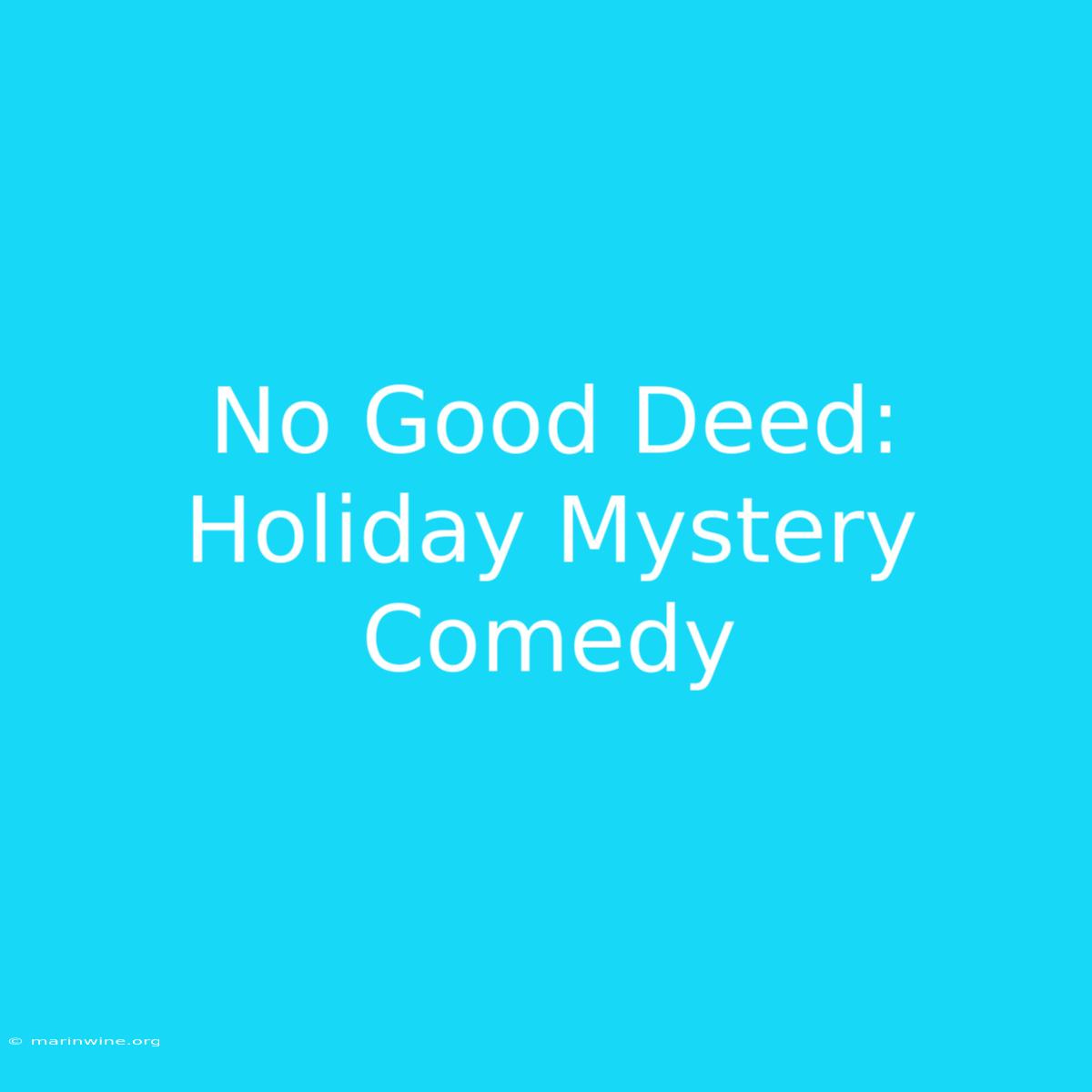 No Good Deed: Holiday Mystery Comedy