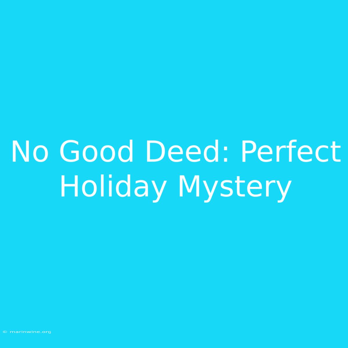 No Good Deed: Perfect Holiday Mystery