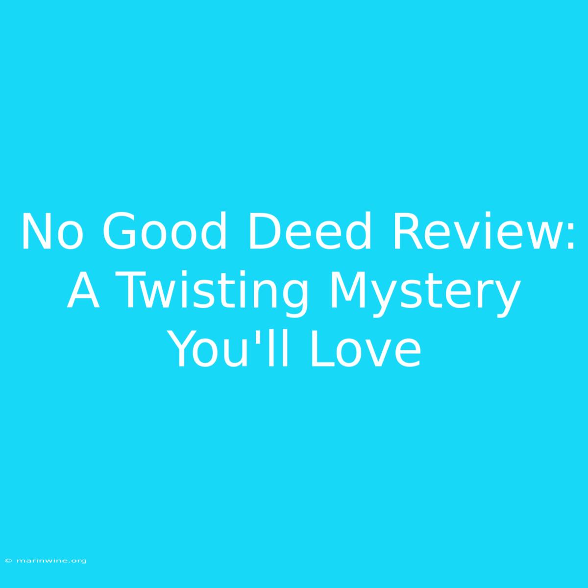 No Good Deed Review: A Twisting Mystery You'll Love