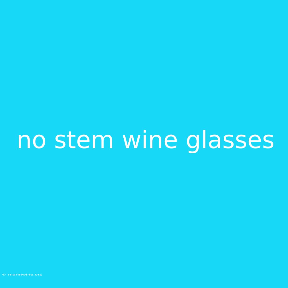 No Stem Wine Glasses