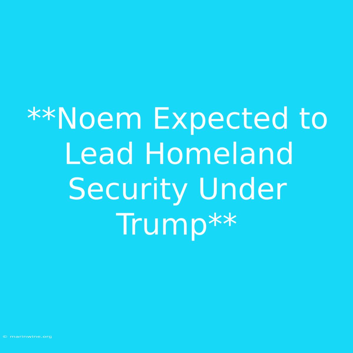 **Noem Expected To Lead Homeland Security Under Trump** 