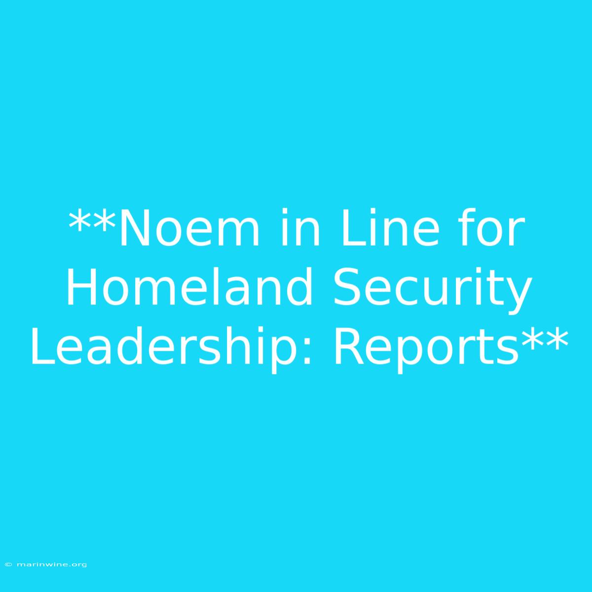 **Noem In Line For Homeland Security Leadership: Reports**