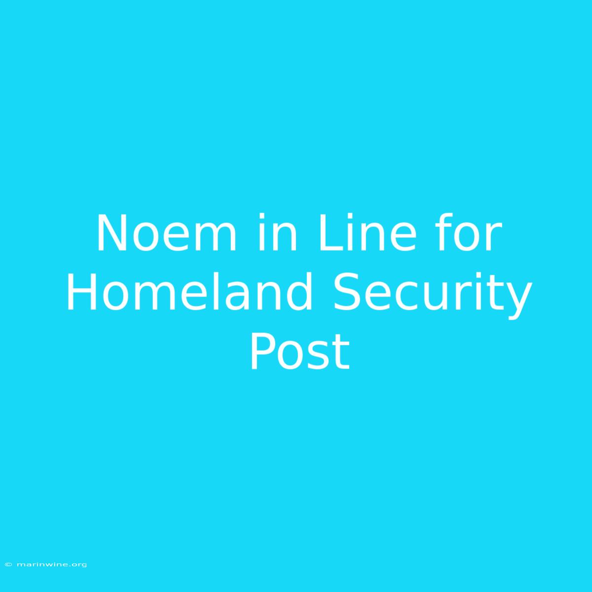 Noem In Line For Homeland Security Post