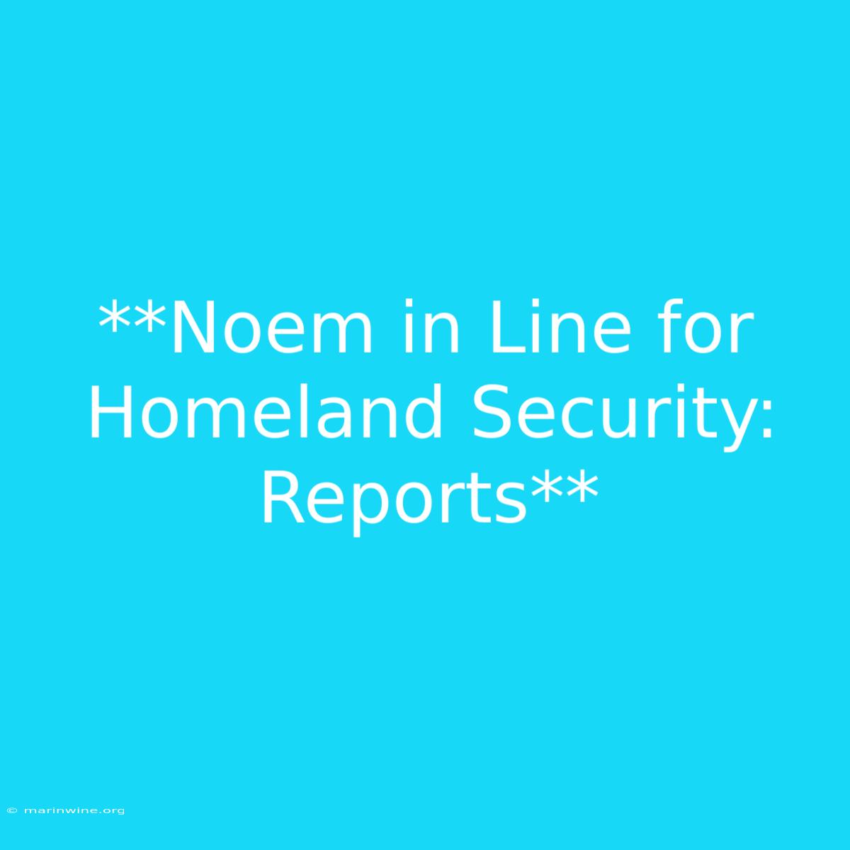 **Noem In Line For Homeland Security: Reports**