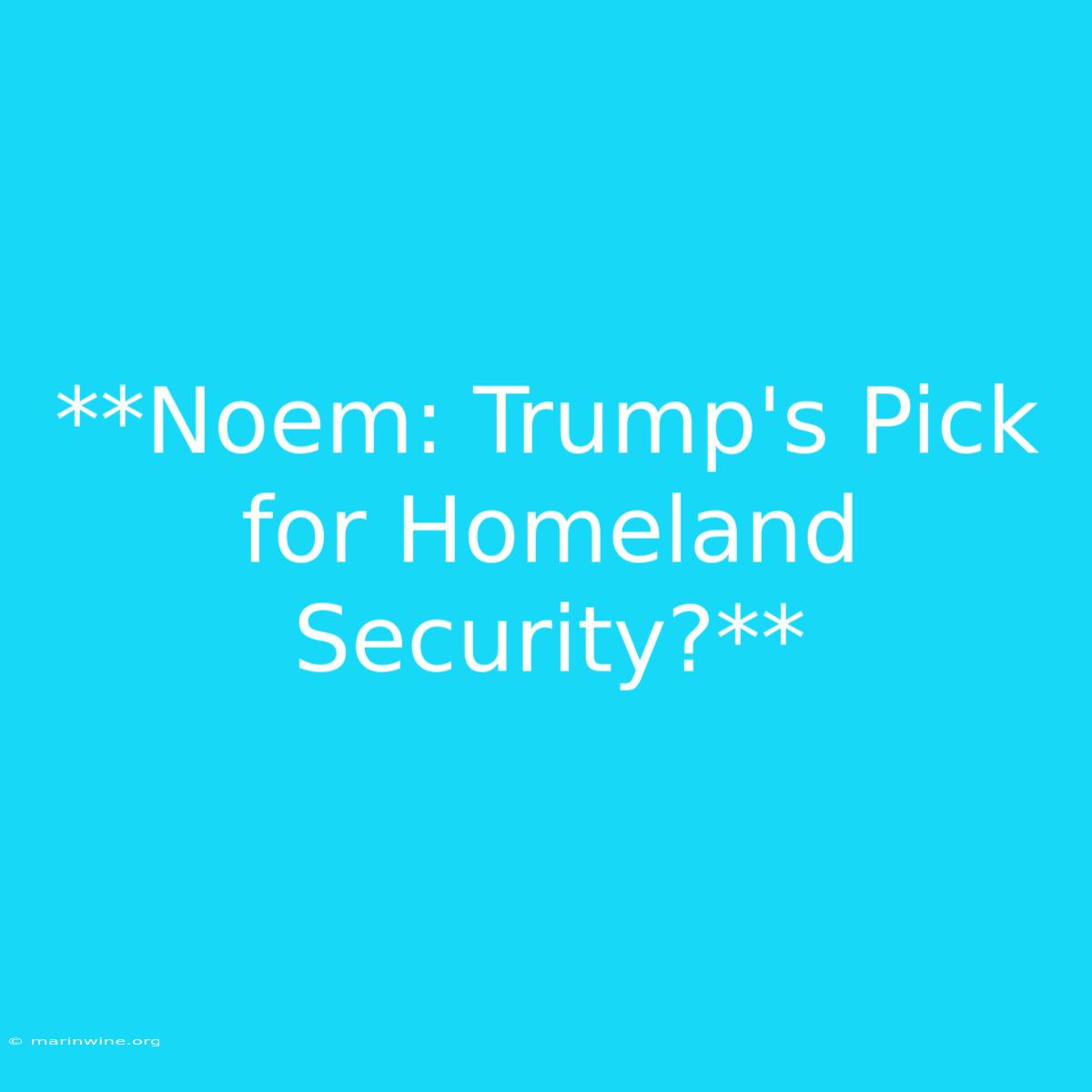 **Noem: Trump's Pick For Homeland Security?**