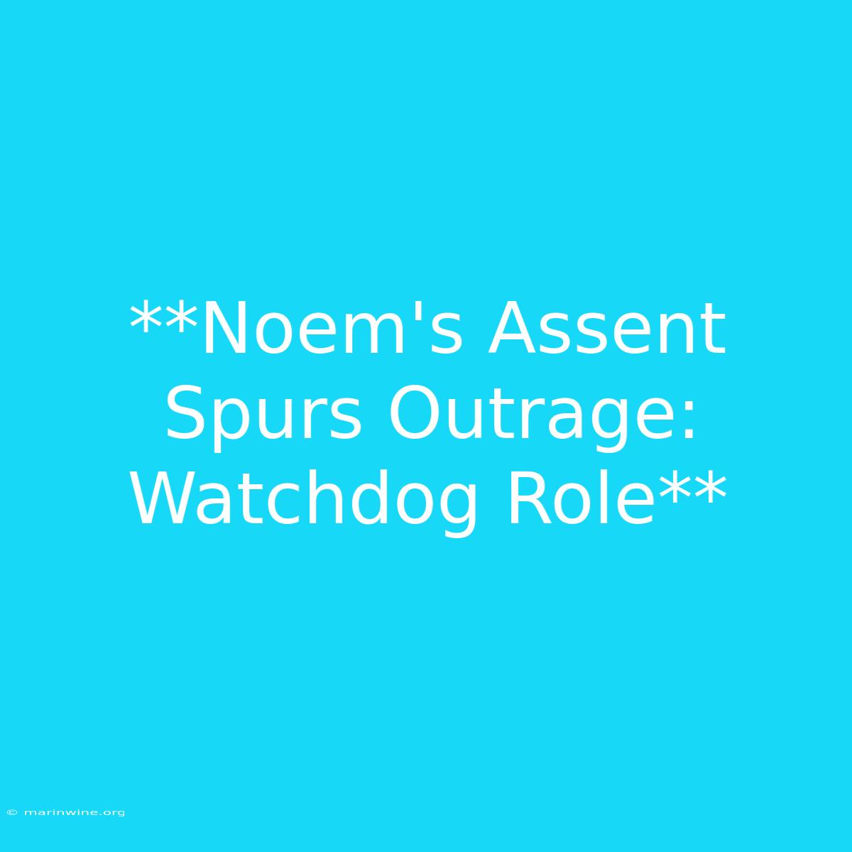 **Noem's Assent Spurs Outrage: Watchdog Role**