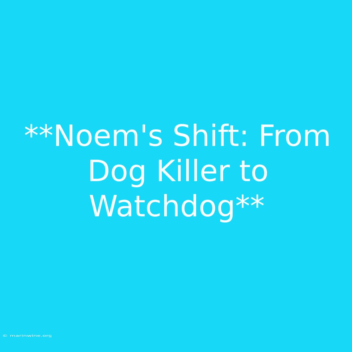 **Noem's Shift: From Dog Killer To Watchdog**