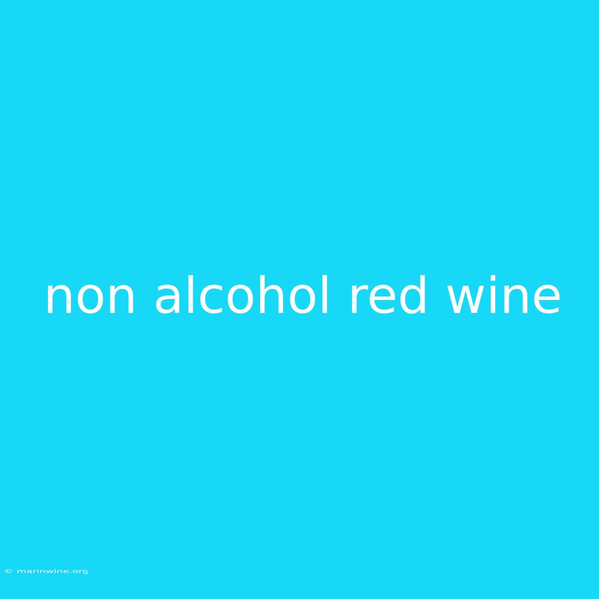 Non Alcohol Red Wine