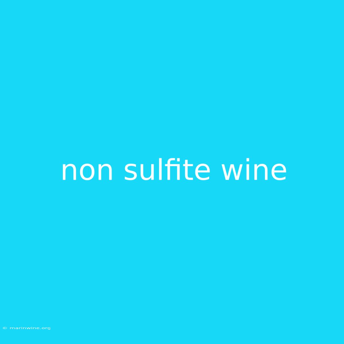 Non Sulfite Wine