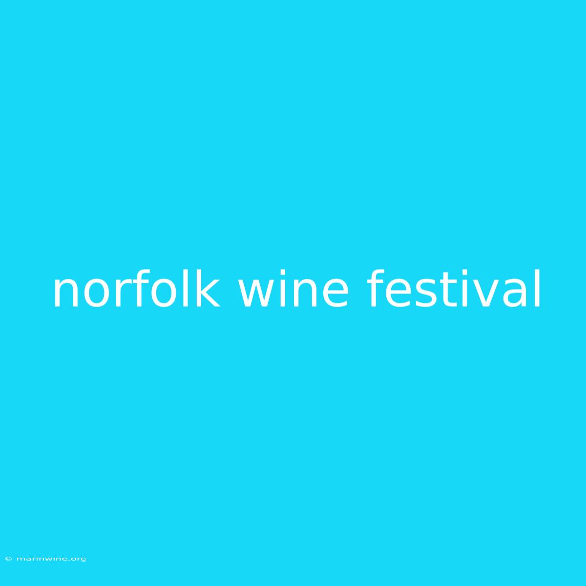 Norfolk Wine Festival