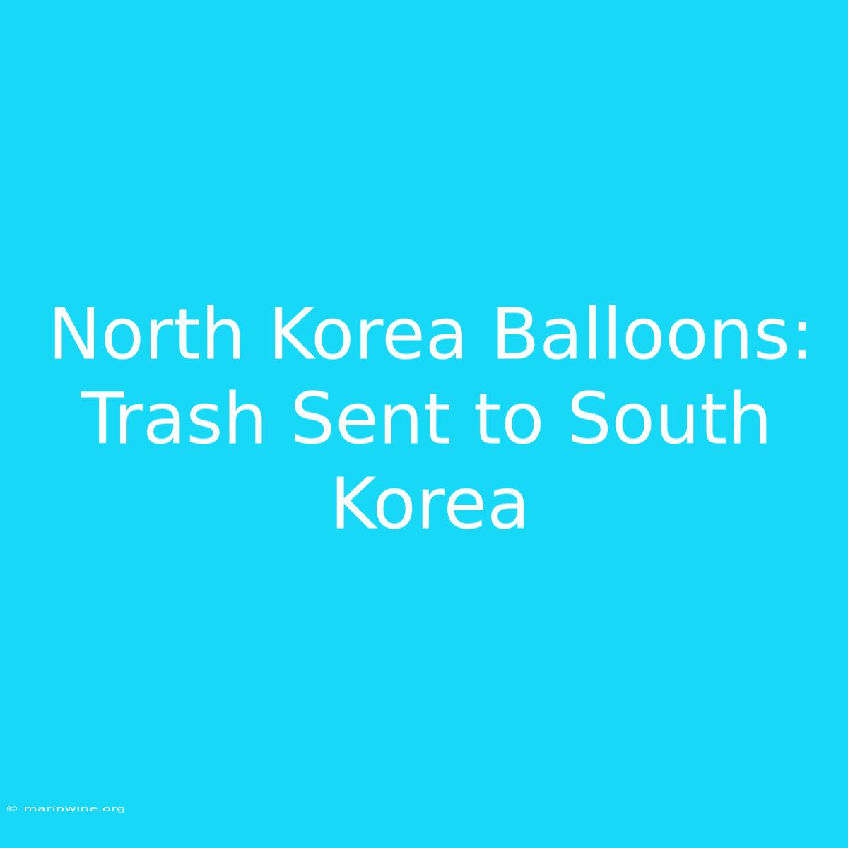 North Korea Balloons: Trash Sent To South Korea