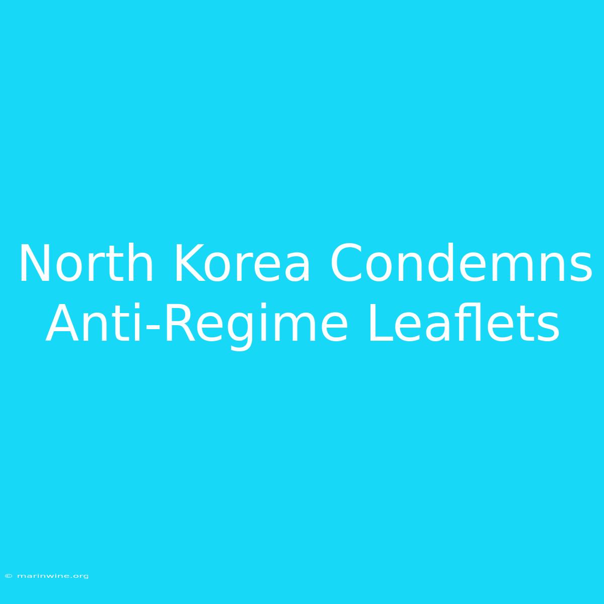 North Korea Condemns Anti-Regime Leaflets