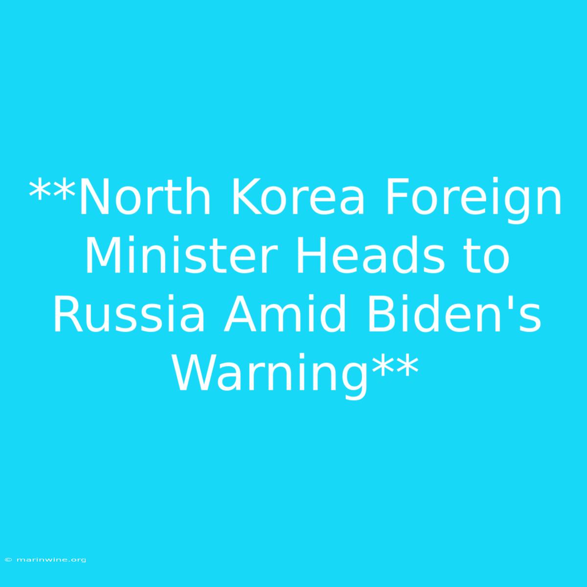 **North Korea Foreign Minister Heads To Russia Amid Biden's Warning**