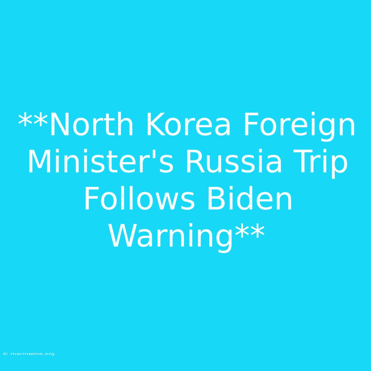 **North Korea Foreign Minister's Russia Trip Follows Biden Warning** 