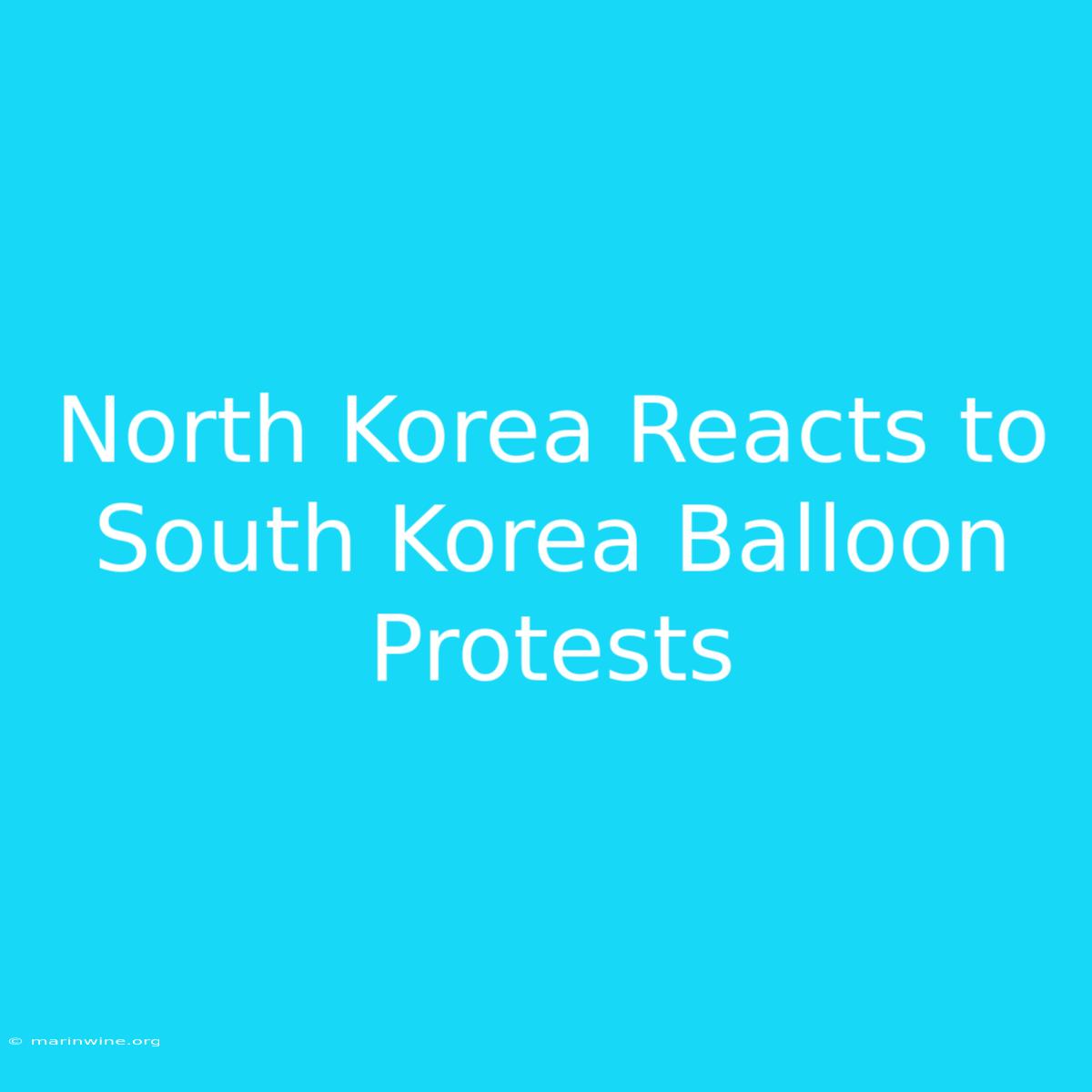 North Korea Reacts To South Korea Balloon Protests