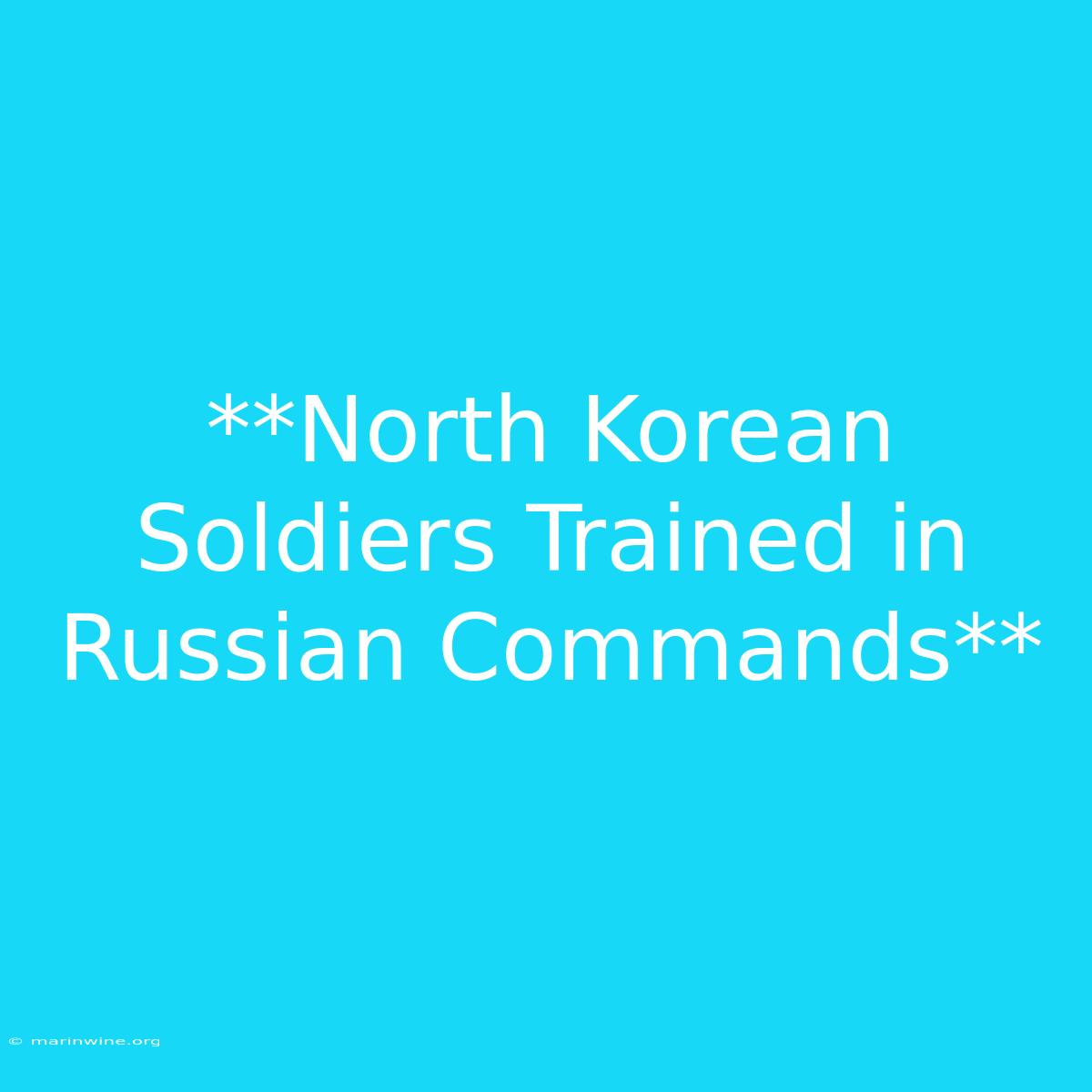 **North Korean Soldiers Trained In Russian Commands**