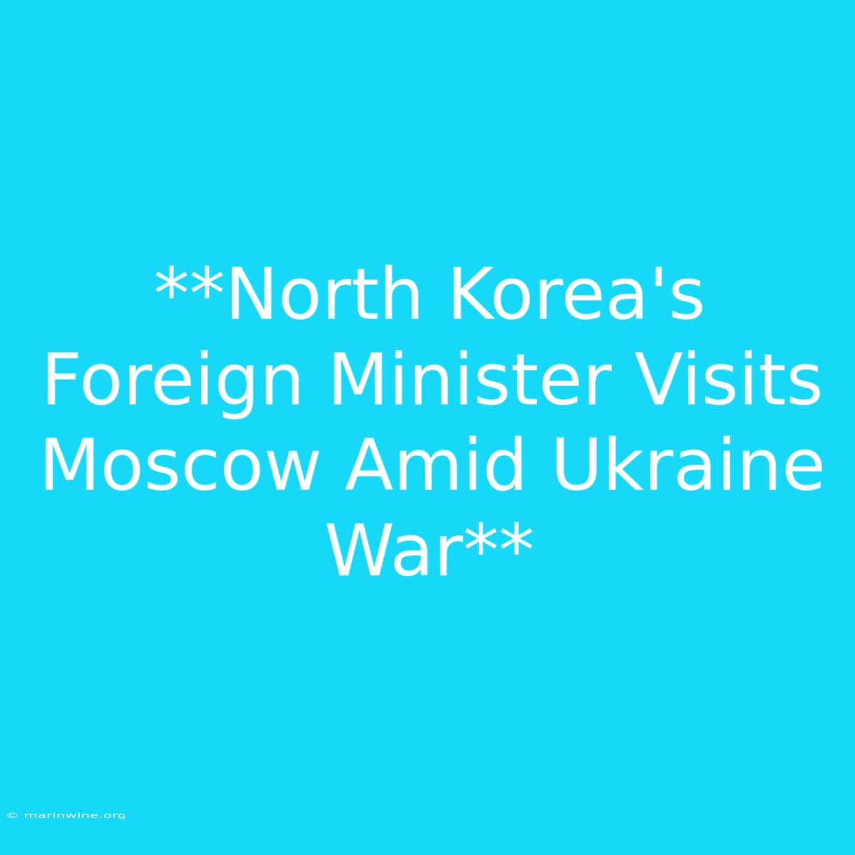 **North Korea's Foreign Minister Visits Moscow Amid Ukraine War**