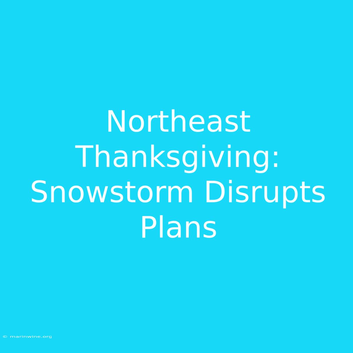 Northeast Thanksgiving: Snowstorm Disrupts Plans