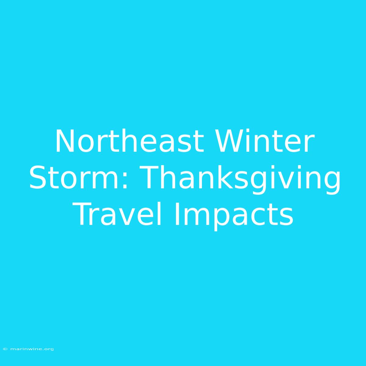 Northeast Winter Storm: Thanksgiving Travel Impacts