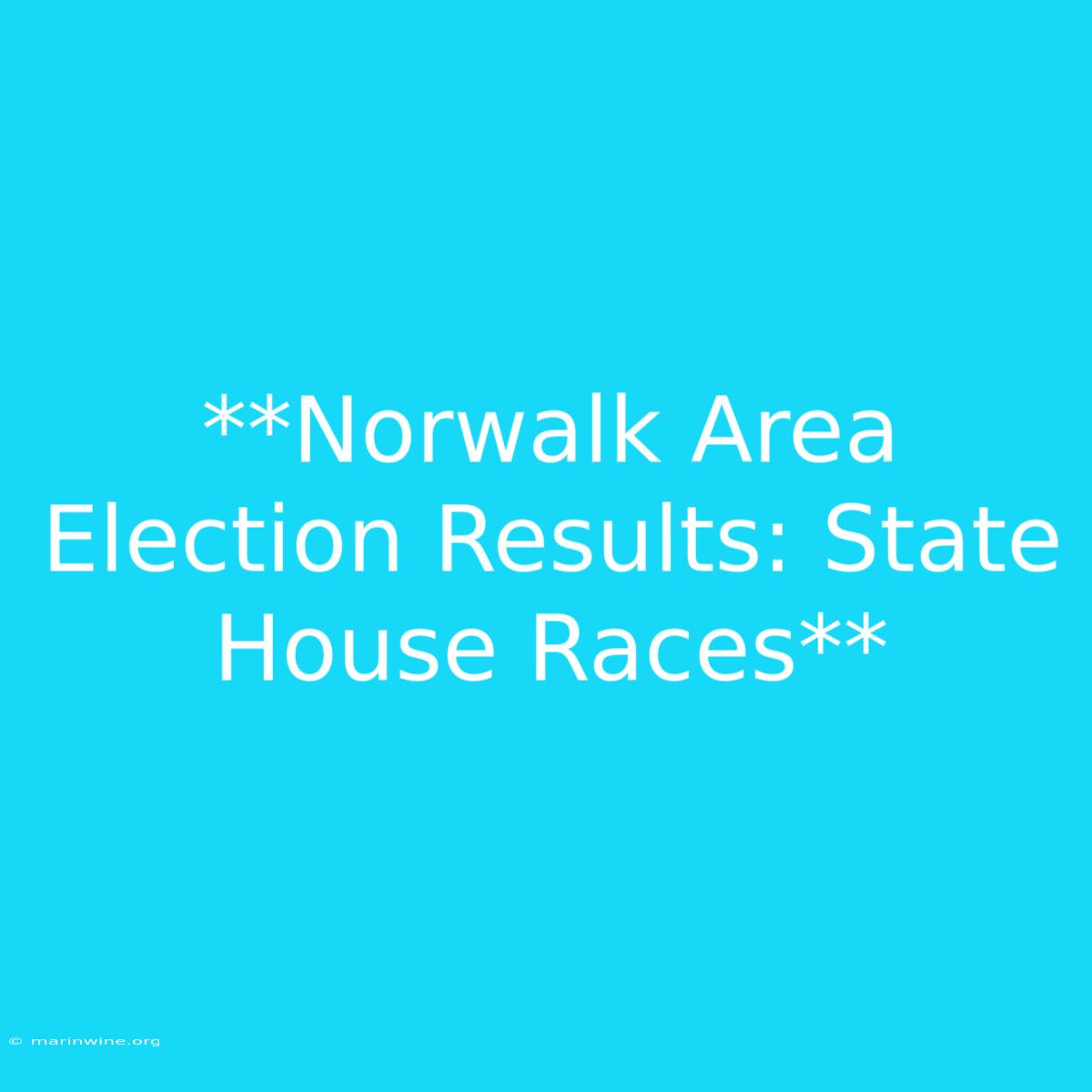 **Norwalk Area Election Results: State House Races**