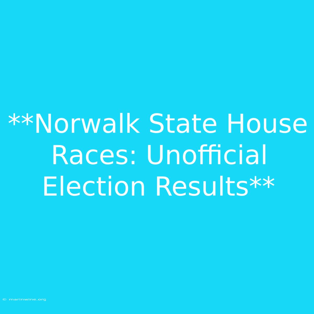 **Norwalk State House Races: Unofficial Election Results**