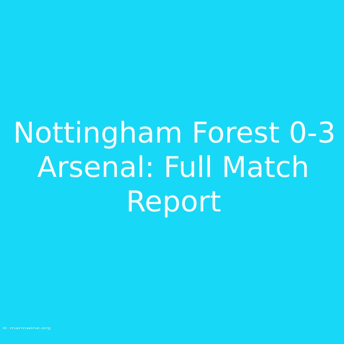 Nottingham Forest 0-3 Arsenal: Full Match Report