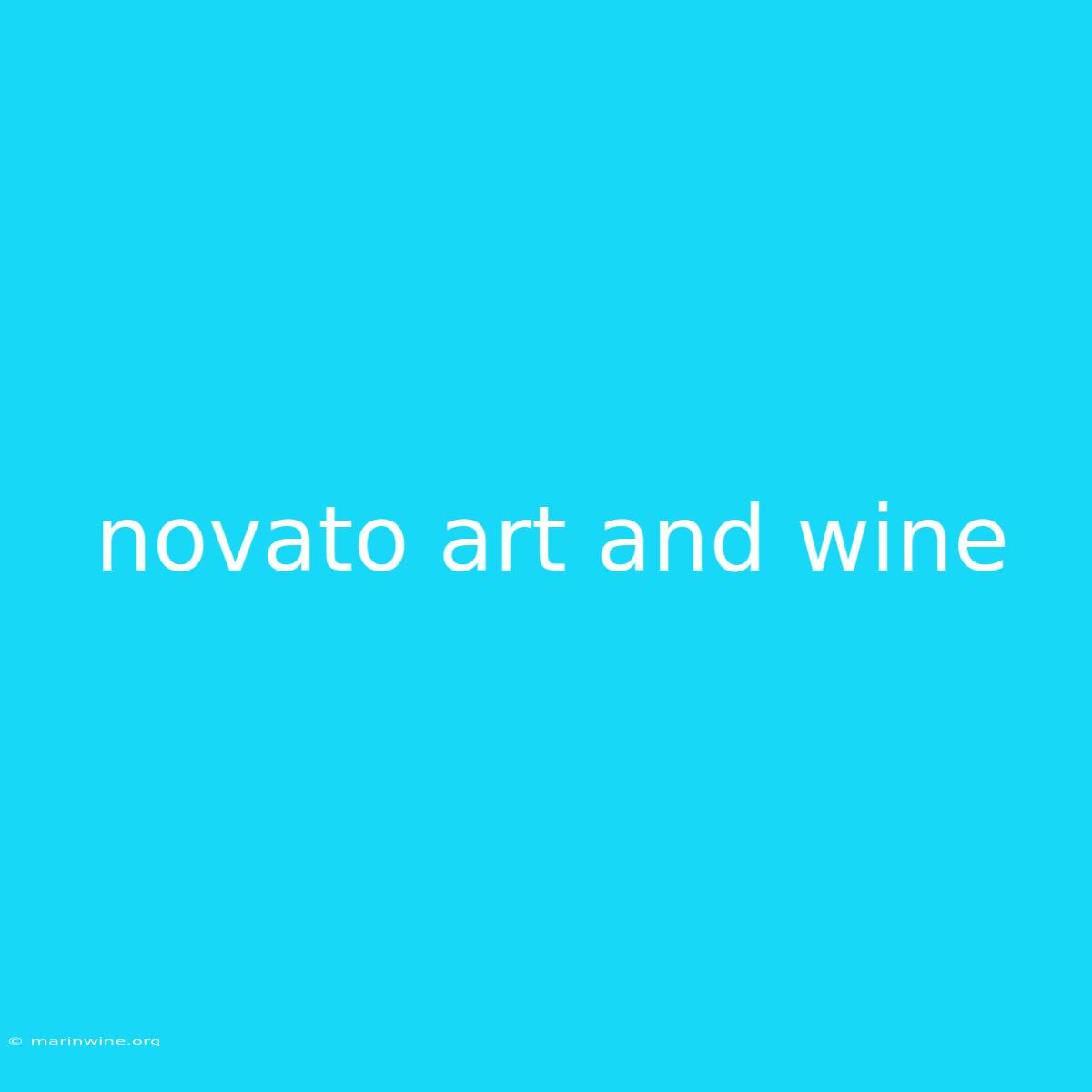 Novato Art And Wine