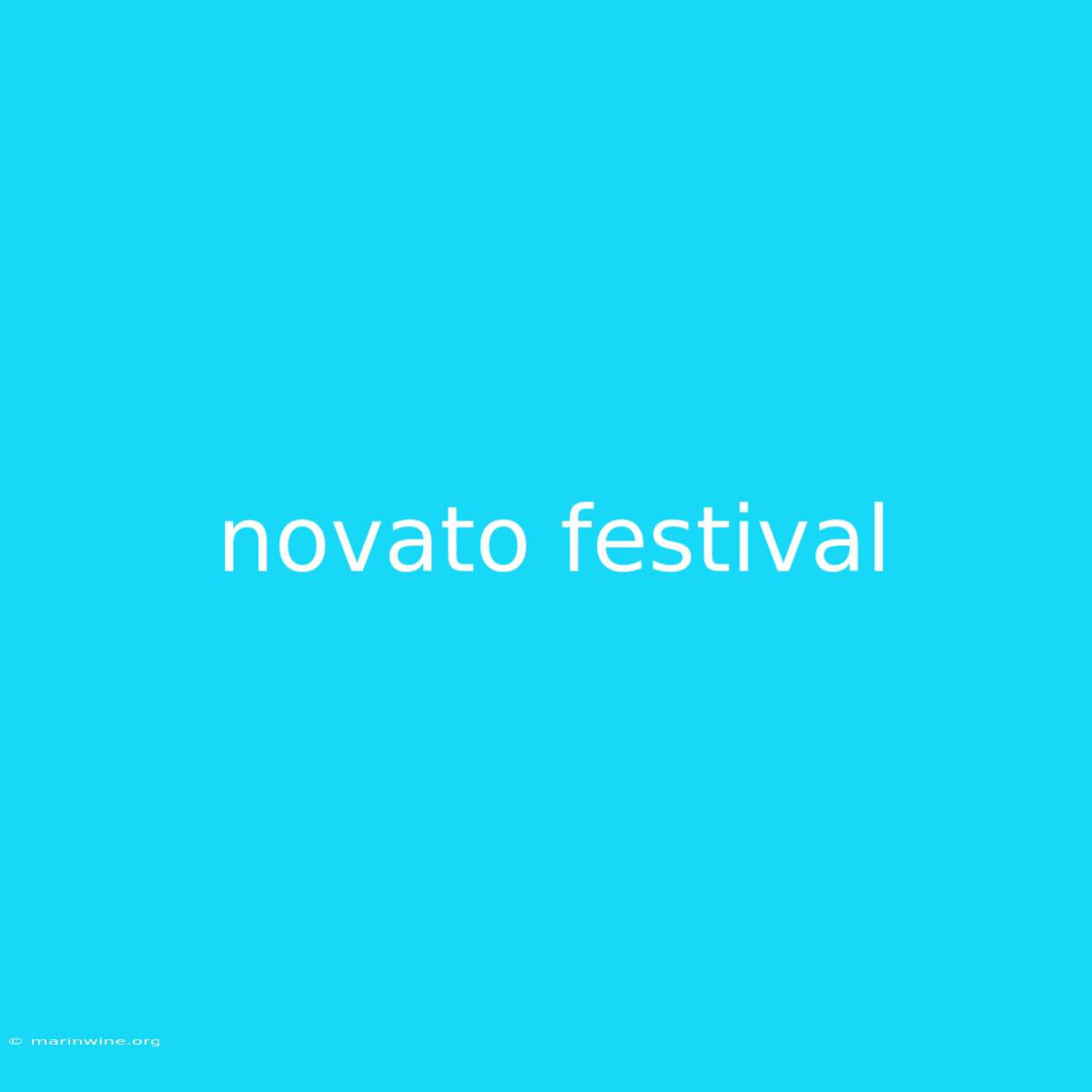 Novato Festival