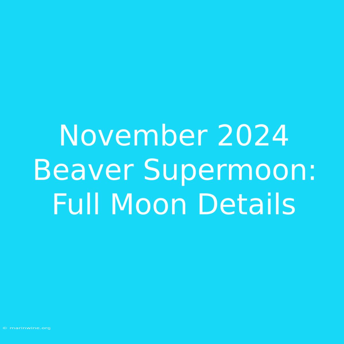 November 2024 Beaver Supermoon: Full Moon Details 