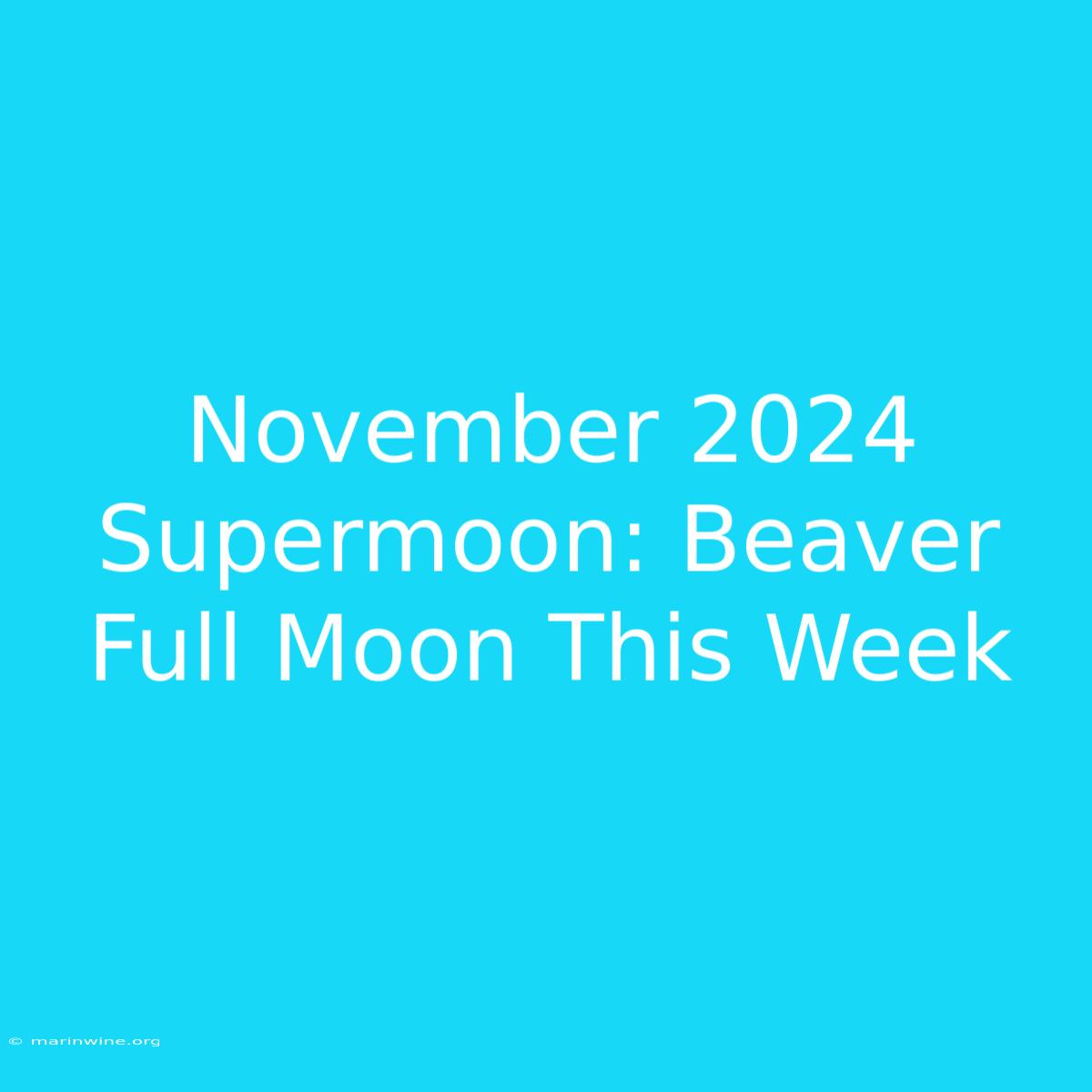 November 2024 Supermoon: Beaver Full Moon This Week